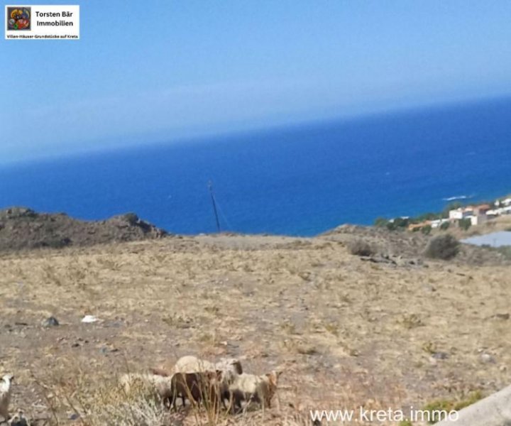 Lentas Kreta, Lentas, zwei Grundstücke mit Meerblick von 16.000m² und 40.000m² Grundstück kaufen